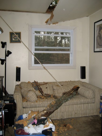 tree-roof-no-bueno.jpg
